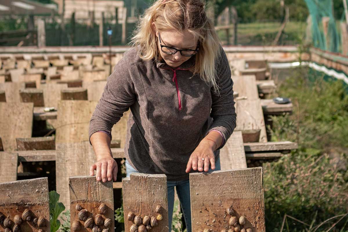 Lara, éleveuse d'escargots à Allenjoie