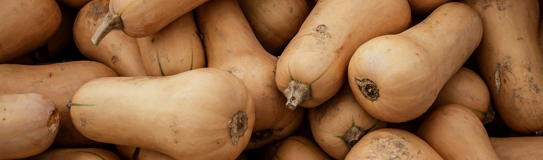 Apéro automnal : Crouski’s tartinade butternut & noisettes croquantes