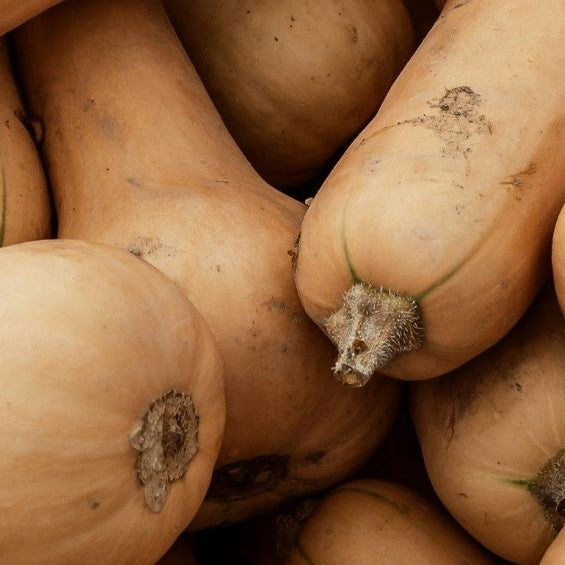 Apéro automnal : Crouski’s tartinade butternut & noisettes croquantes