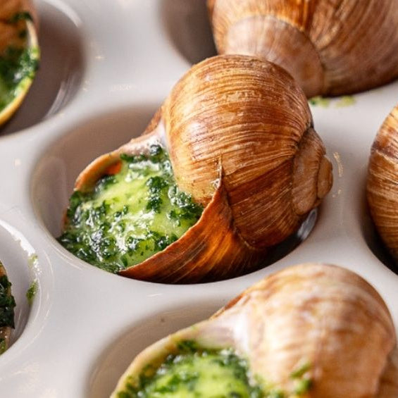 Les escargots dans la gastronomie française : tradition &amp; modernité